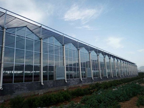 蔬菜餐廳