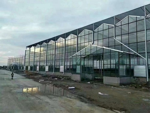蔬菜餐廳