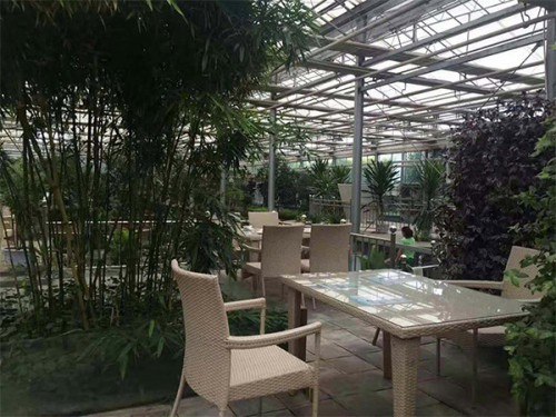 蔬菜餐廳